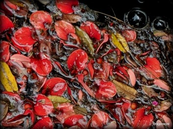 1-IMG_20181106_121909